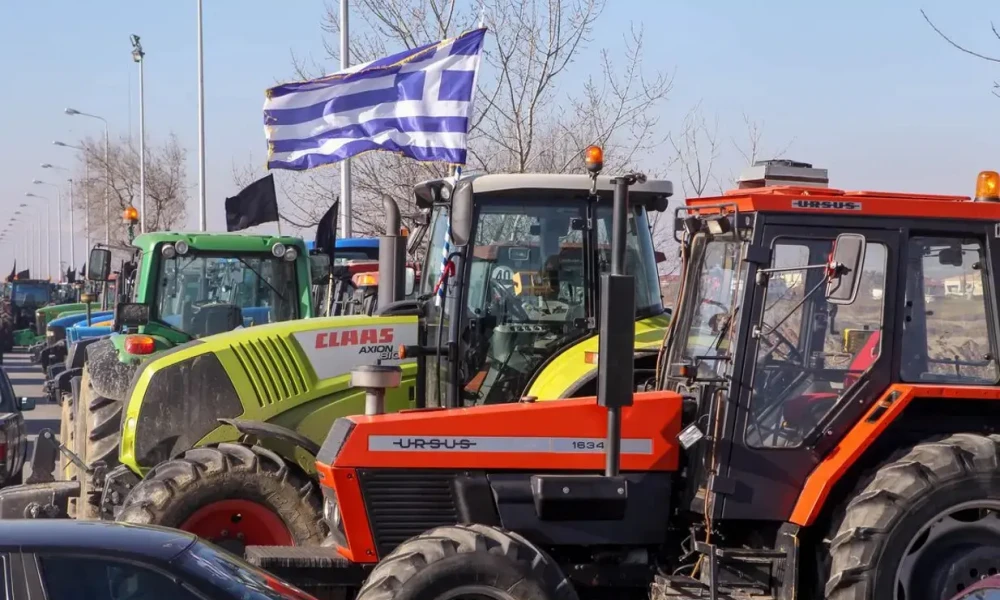 Ελαιοπαραγωγοί Χαλκιδικής: «Η ακαρπία ανά περιοχή στο νομό μας κυμαίνεται από 80% έως 100%»
